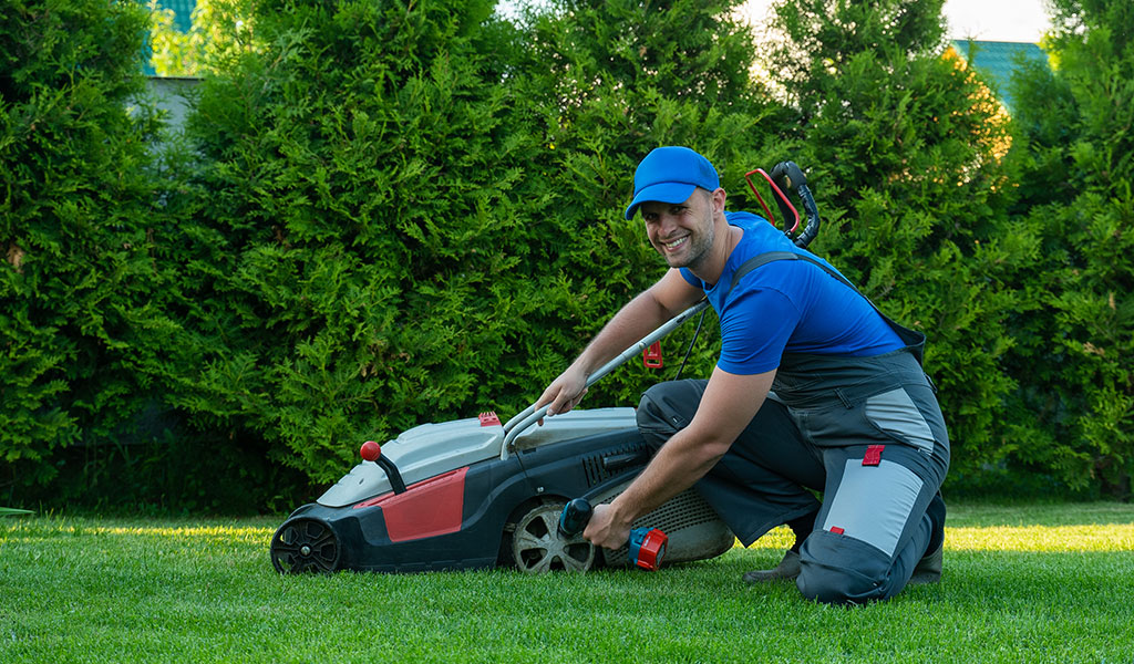 Eco-Friendly Lawn Care