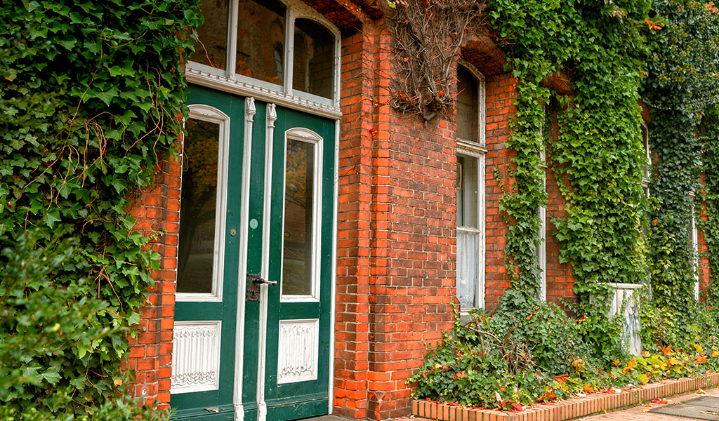 Great Tips to make your Doors Greener