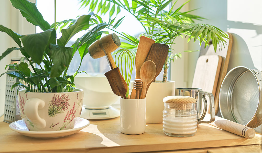 Green Alternatives for Kitchen Items