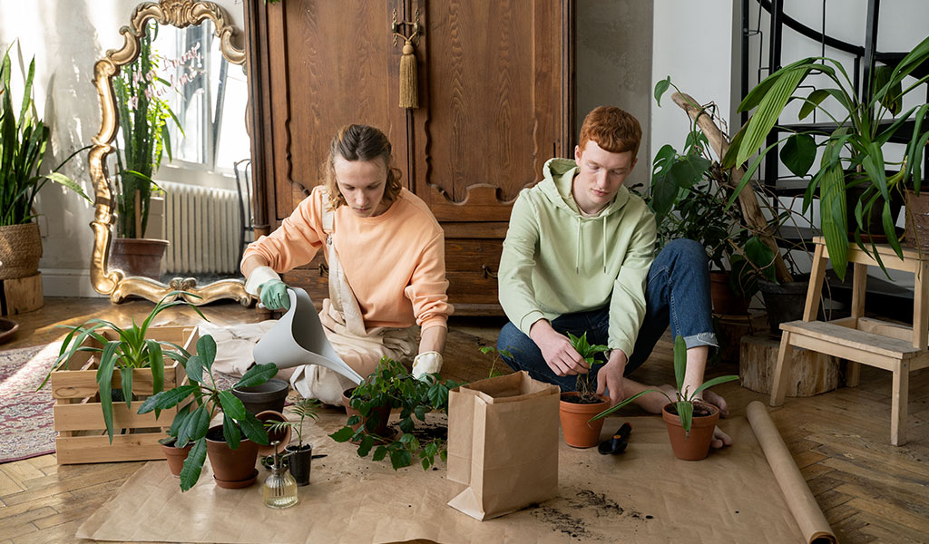 Healthier Living Environment