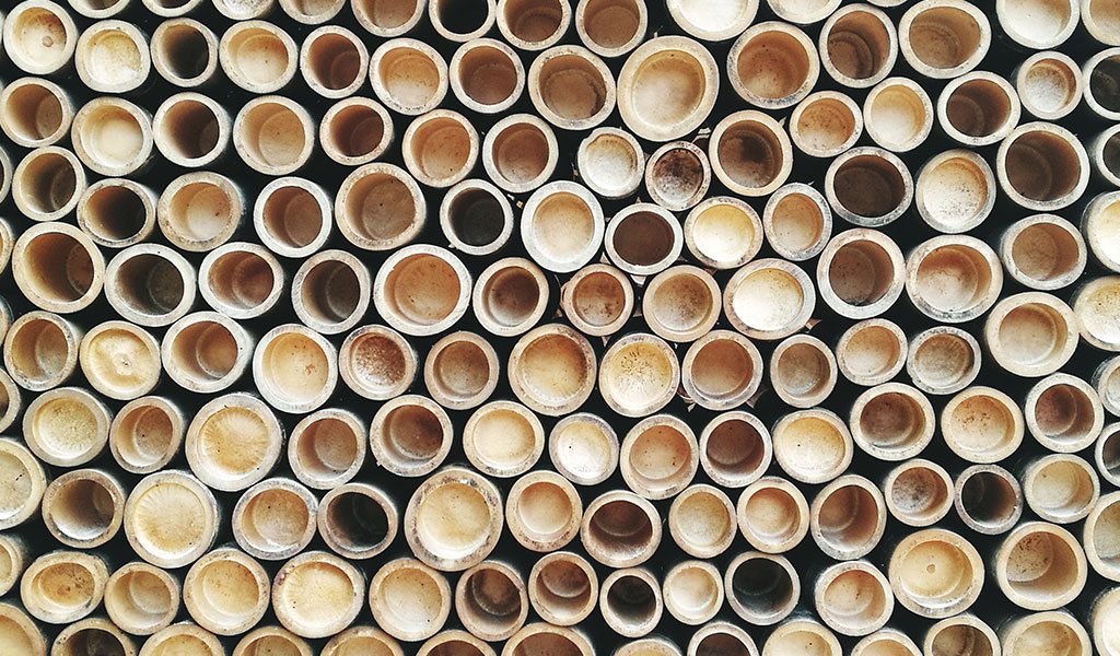 Opt for Bamboo or Cork