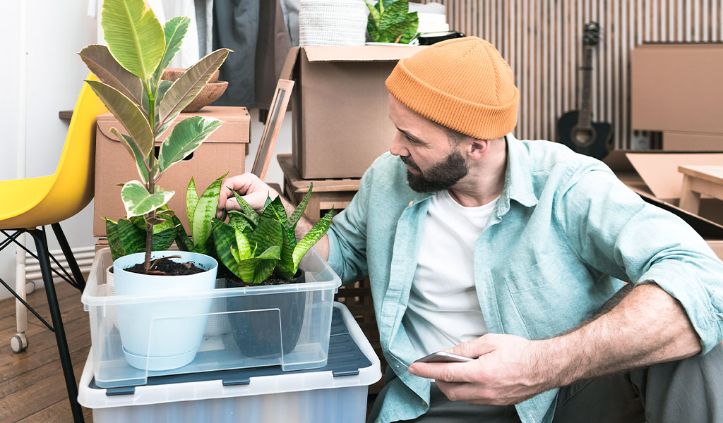 Tips Homeowners Can Use to Be Eco-Friendly