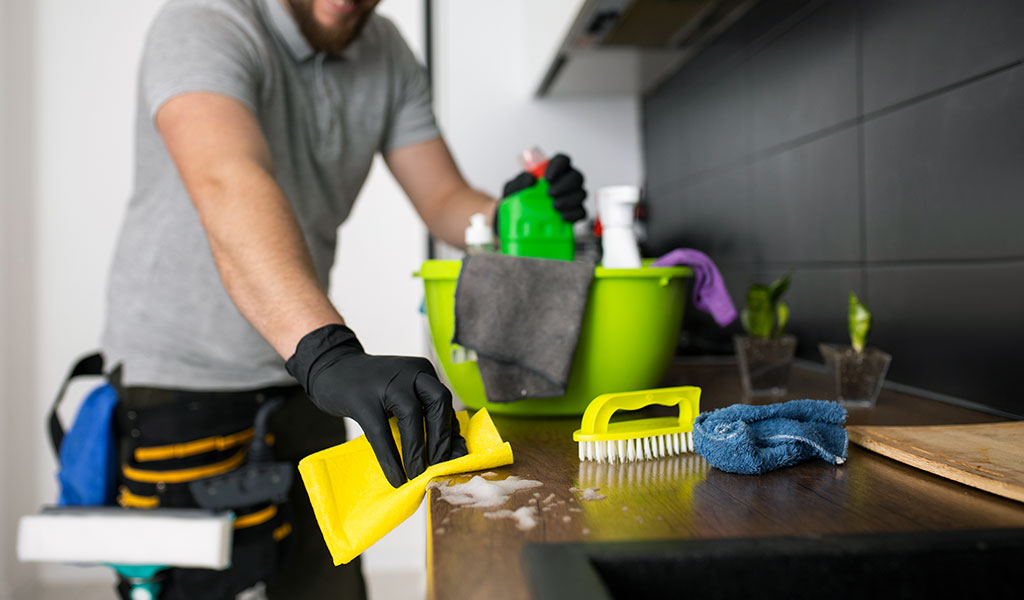 Tips for Choosing Green Household Services