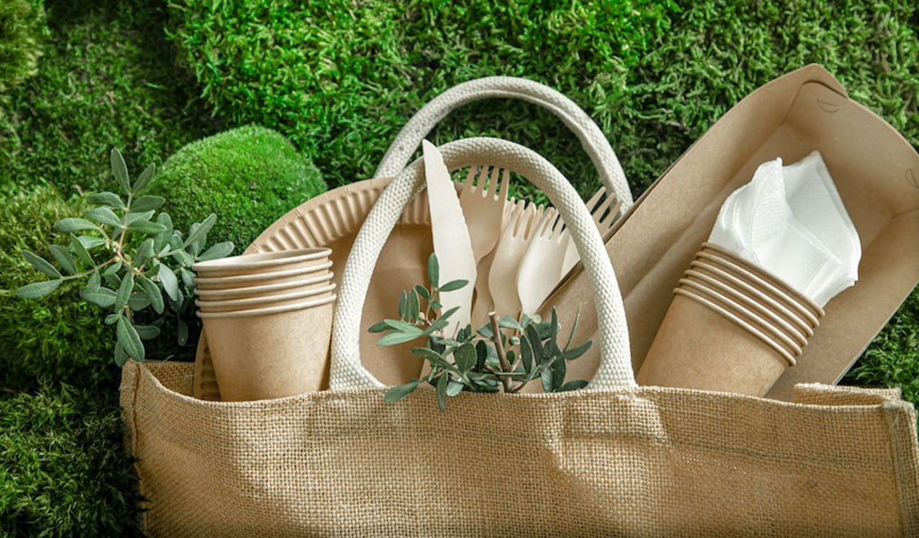 Choose Eco-Friendly Products
