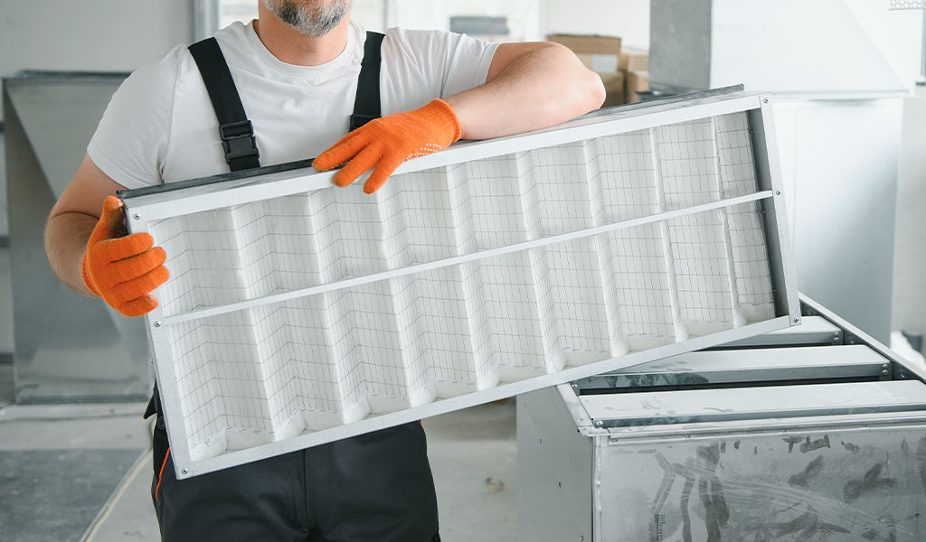 Maintain Regular Cleaning