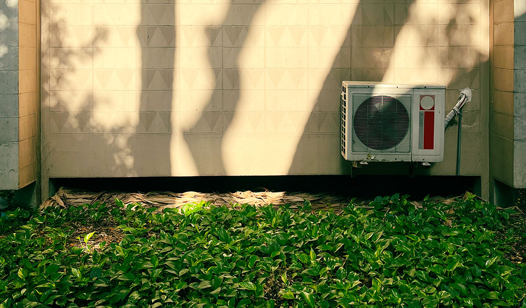 Plant Shade Trees Near Your AC Unit