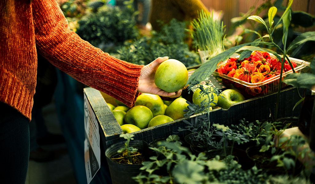 Choose Organic Produce