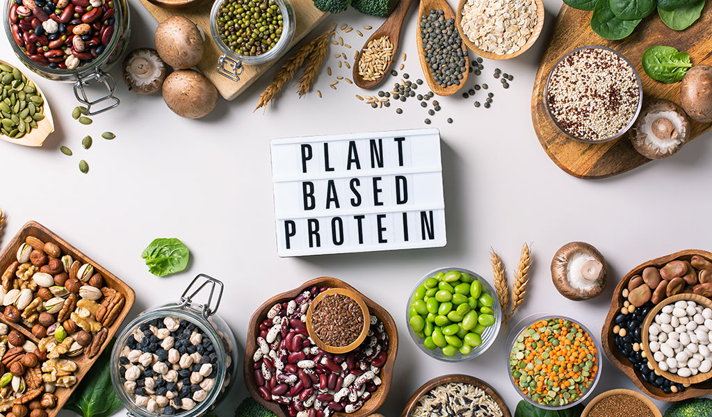 Embrace Plant-Based Proteins