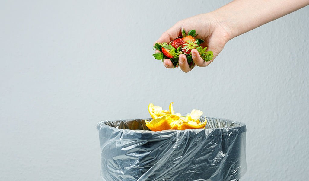 Minimize Food Waste