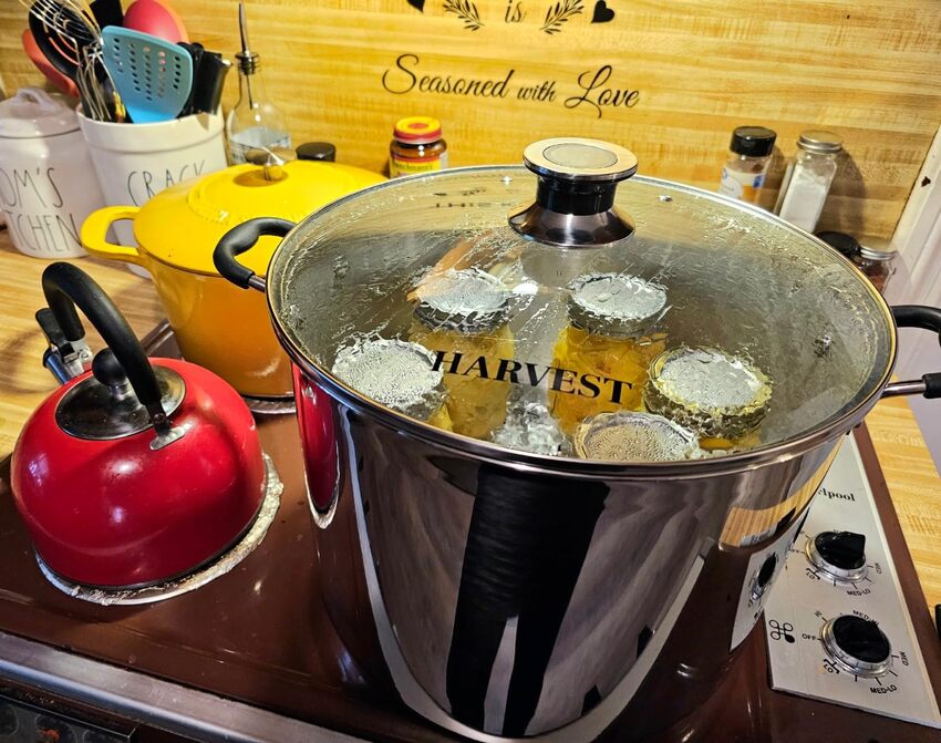 Harvest 20 Qt Canning Pot