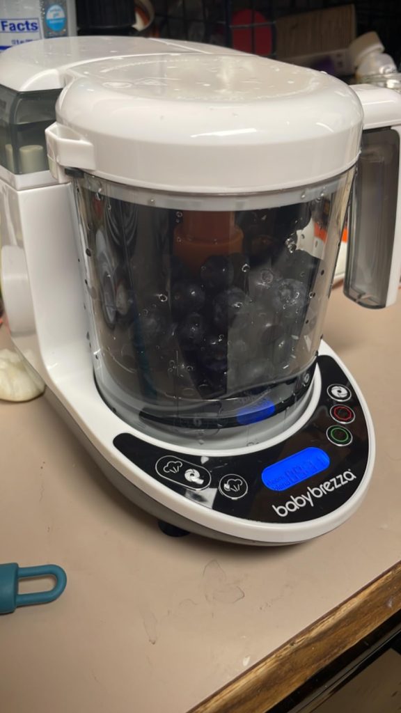 Baby Brezza One Step Food Maker Deluxe