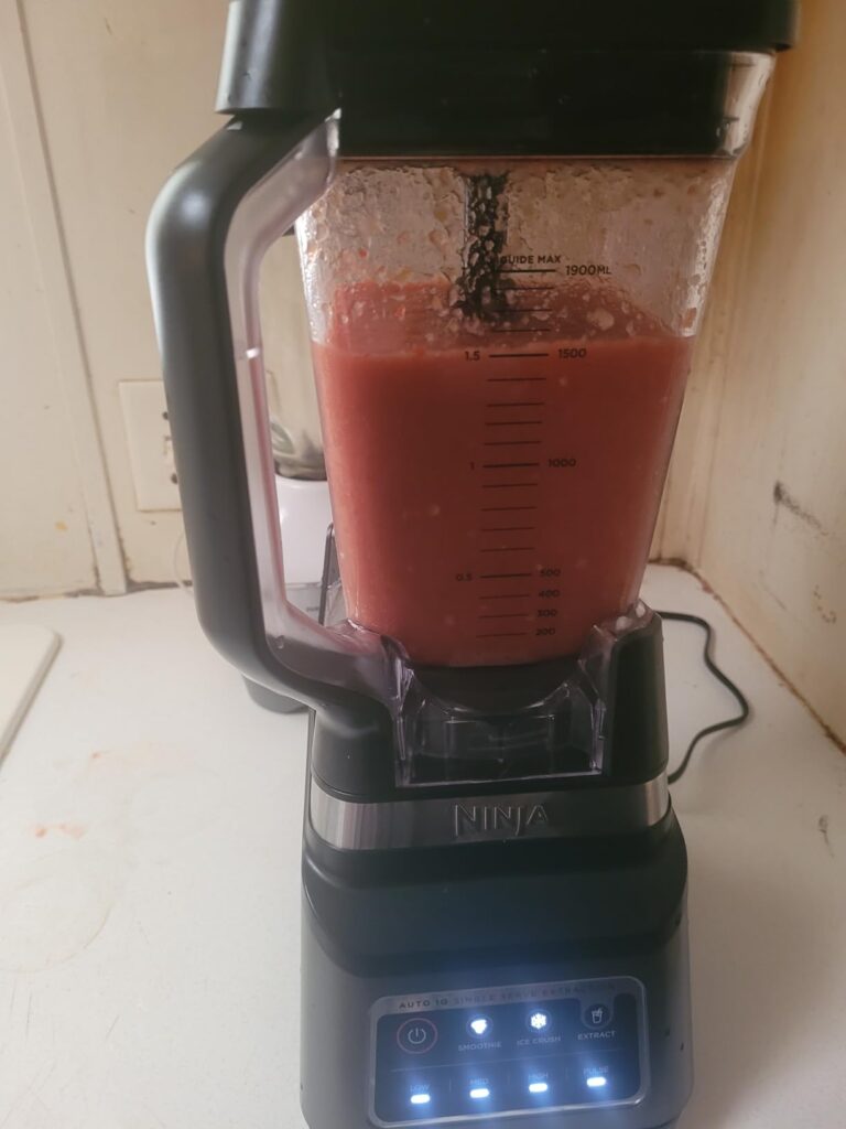 Ninja BN801 Professional Kitchen System