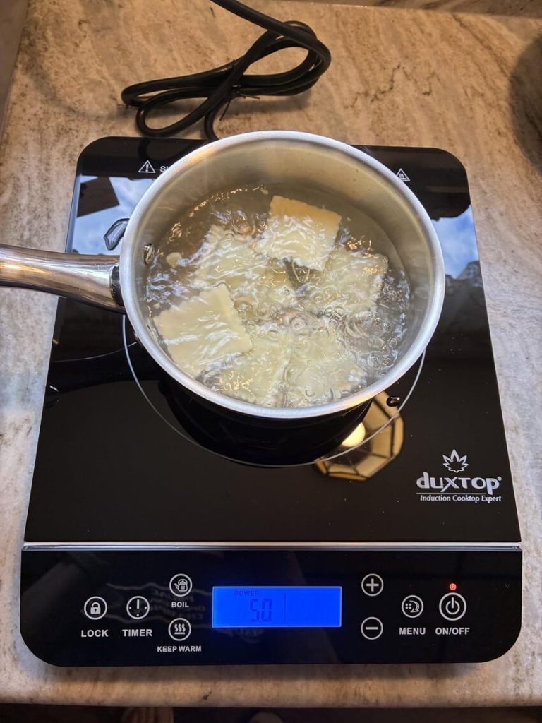 Duxtop Portable Induction Cooktop Burner