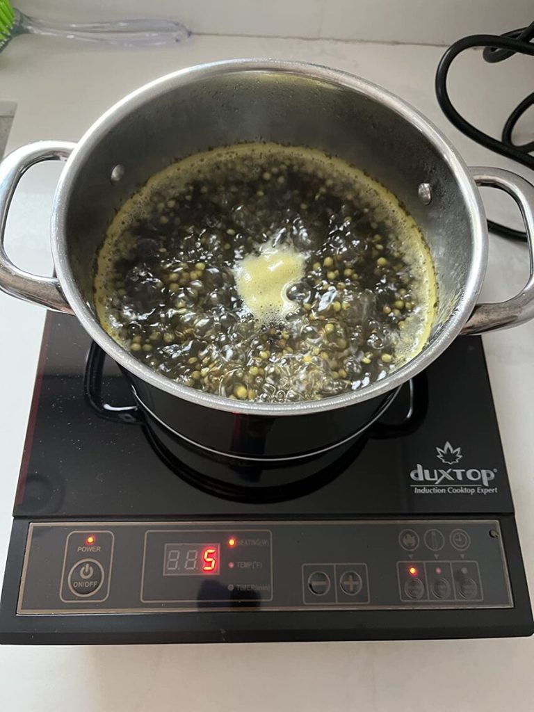 Portable Induction Cooktop 1500 Watts