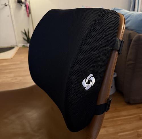SAMSONITE Lumbar Support Pillow