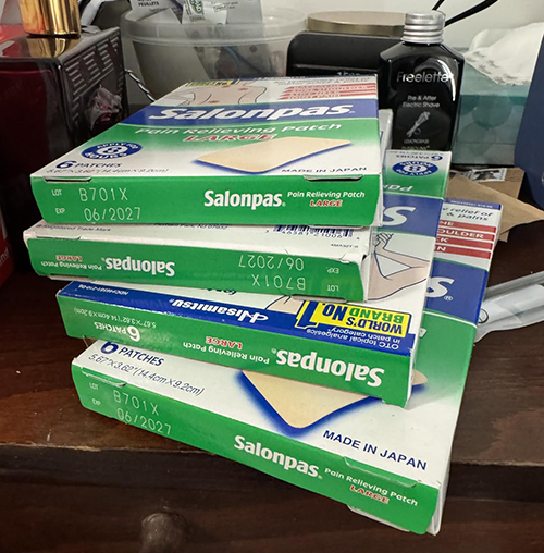 Salonpas Pain Relieving Patch, LARGE, 6 Count