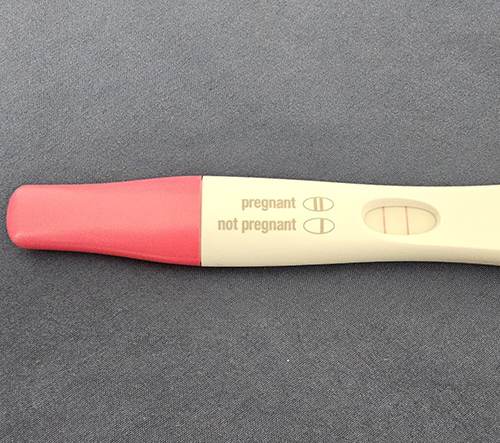 CONCEIVE PLUS Complete Fertility and Ovulation Bundle