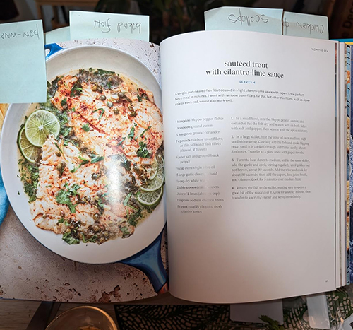 The Mediterranean Dish: 120 Bold and Healthy Recipes You’ll Make on Repeat: A Mediterranean Cookbook