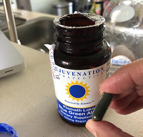 Rejuvenation Therapeutics Klamath Blue-Green Algae
