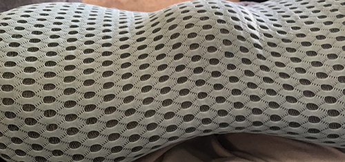 Kasney Lumbar Support Pillow